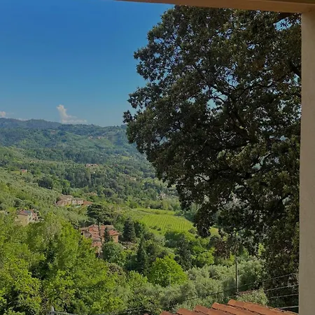 Infinity House Colline * Camaiore